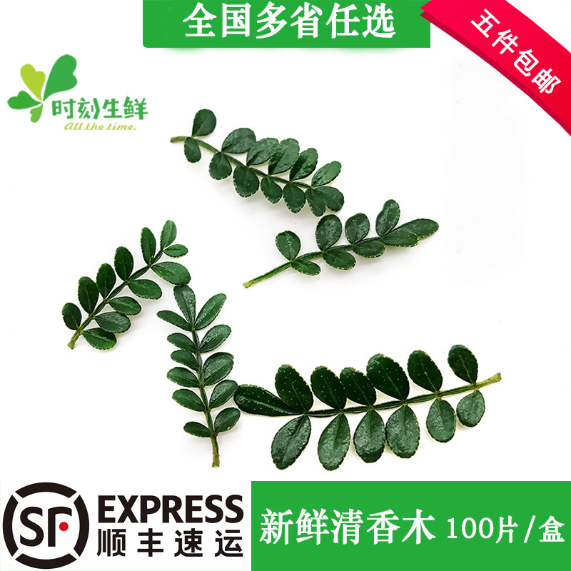 新鲜清香木摆盘烘焙蛋糕装饰