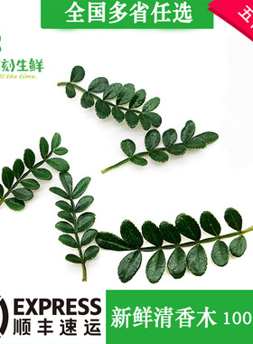 新鲜清香木摆盘烘焙蛋糕装饰