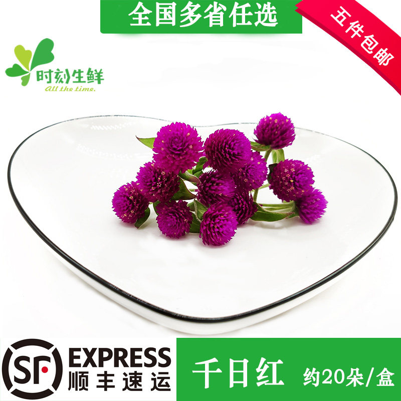 时刻生鲜千日红酒店摆盘