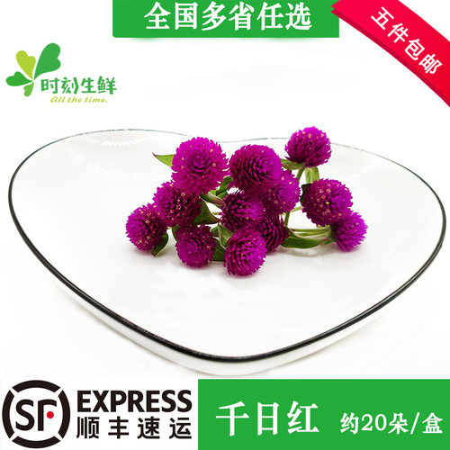 时刻生鲜千日红酒店摆盘