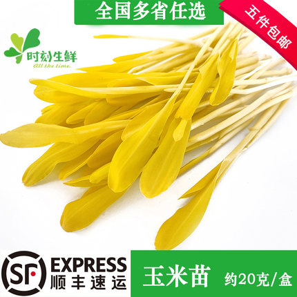 新鲜玉米苗 芽苗菜 约10g 酒店饭店西餐摆盘装饰 可食用苗菜一盒