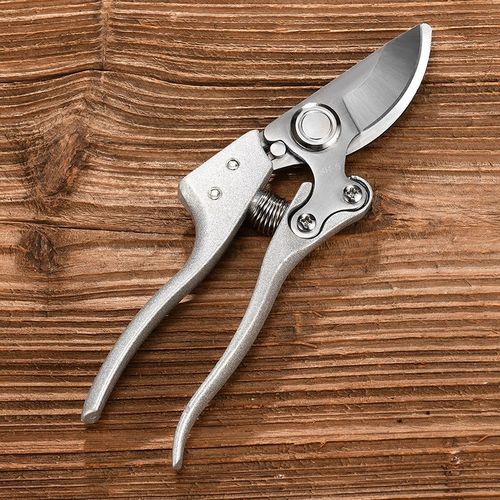 修枝剪园艺剪刀剪树枝专用园x林修剪果树修枝花艺修花剪粗枝剪枝