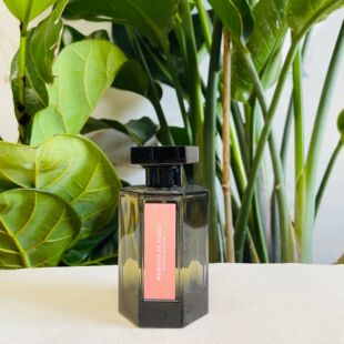 冥府之路布列塔尼的空气黑莓缪斯小偷玫瑰无花果夏夜清风香水小样