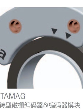 欧洲意大利莱卡（LIKA）磁性编码器SGSM-SGSD