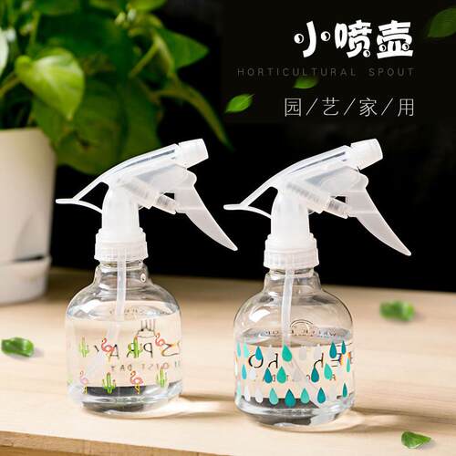 喷壶便携塑料园艺化妆品分装瓶小号浇花壶细雾空瓶子喷雾瓶