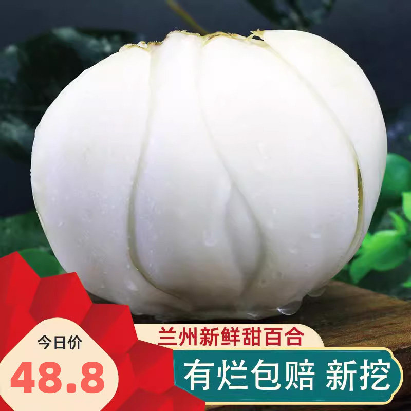 甘肃兰州百合新鲜甜百合大个头500g纯食用农家天特产然非特级干货
