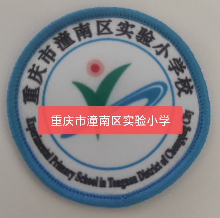 重庆市校徽渝中江北南岸九龙坡沙坪坝大渡口北碚渝北实验中小学校