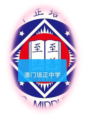 香港澳门台湾校徽logo布贴织唛定制