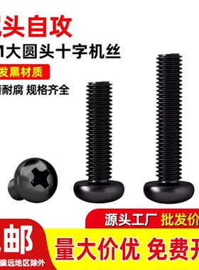 BM黑色大圆头螺丝 盘头十字螺丝钉M4*5-6-8-10-12-14-16-18-25-30