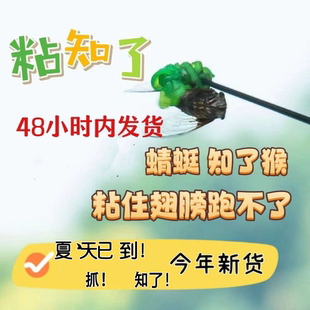 粘知了小绿手捕蝉神器圆球粘手抓知了手掌胶状沾圆球绿手粘球玩具