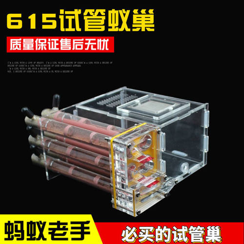 石膏试管蚁巢热卖中蚂蚁都合适