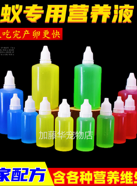 蚂蚁营养液蚂蚁食物撸液弓背蚁收获蚁大头蚁巨首蚁猛蚁切叶蚁食物