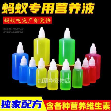 蚂蚁营养液蚂蚁食物撸液弓背蚁收获蚁大头蚁巨首蚁猛蚁切叶蚁食物