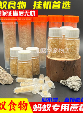 蚂蚁食物云南蔗糖块高蛋白质