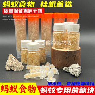 蔗糖块蚂蚁食物蚂蚁干粮蚂蚁粮营养液面包虫蚁后食物收获蚁食物