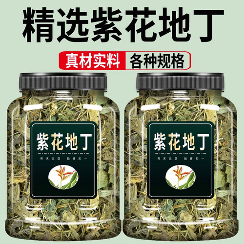 紫花地丁正品犁头草地丁草箭头草养生茶泡水喝的功效与作用