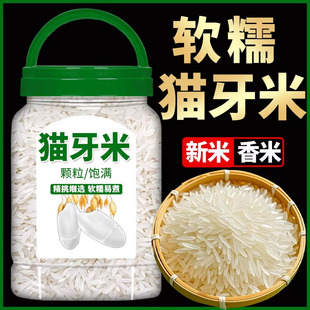 猫牙米长粒香米官方旗舰店2025正宗的新大米10斤广西虾田米丝苗米