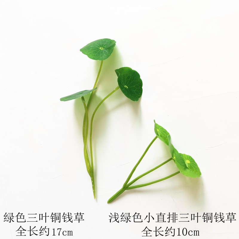 仿真3头铜钱草桌面绿色摆件
