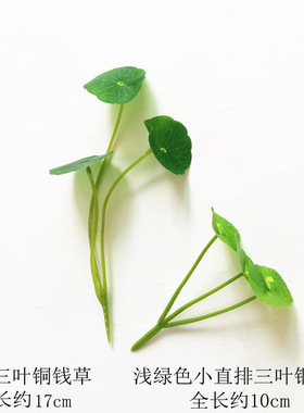 仿真3头铜钱草铜钱叶金钱草幸运草四叶草桌面绿色摆件仿真小荷叶