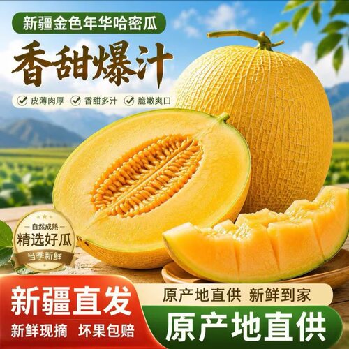 【新疆直发】正宗西州蜜25号黄金新疆哈密瓜兵团金色年华黄色当季