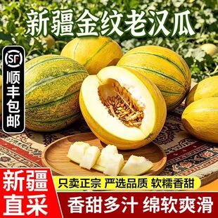 【顺丰包邮】新疆正宗新疆吐鲁番金纹老汉瓜新鲜水果现摘哈密瓜
