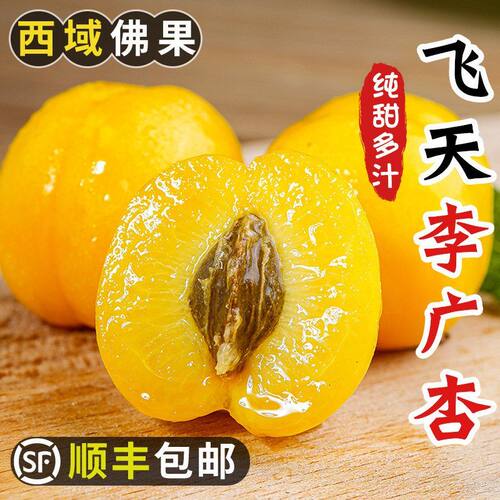新疆小红杏当季吊干杏鲜杏哈密小黄杏蜜杏纯甜杏子新鲜水果小白杏