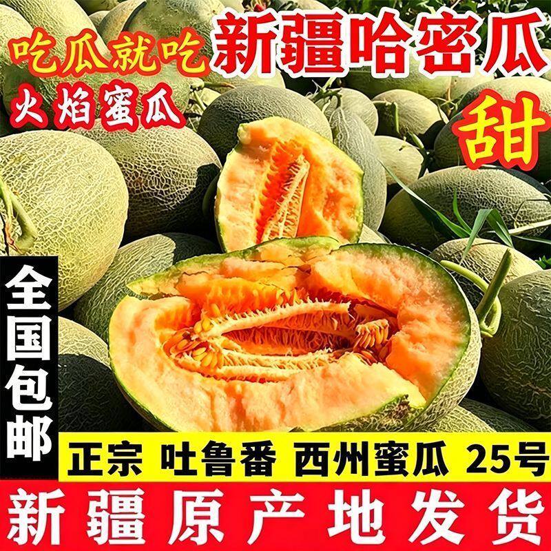 【新疆直发】正宗新疆吐鲁番哈密瓜当季新鲜水果西州蜜25号蜜瓜
