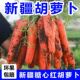 新疆红胡萝卜新鲜蔬菜红萝卜手抓饭带泥现挖冰糖心黄心产地直发