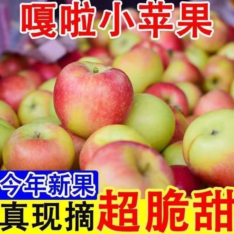 新疆直发【头茬】正宗伊犁嘎啦苹果新鲜水果应季脆甜当季小红富士