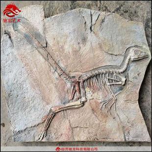 霸王龙中国龙鸟始祖鸟玻璃钢骨架化石埋藏挖掘现场儿童沙坑恐龙