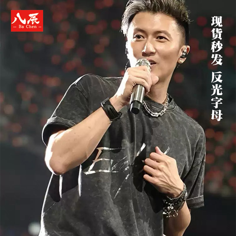 謝霆鋒進(jìn)化演唱會(huì)周邊同款短袖T恤男2025新款洗水做舊重磅衣服潮