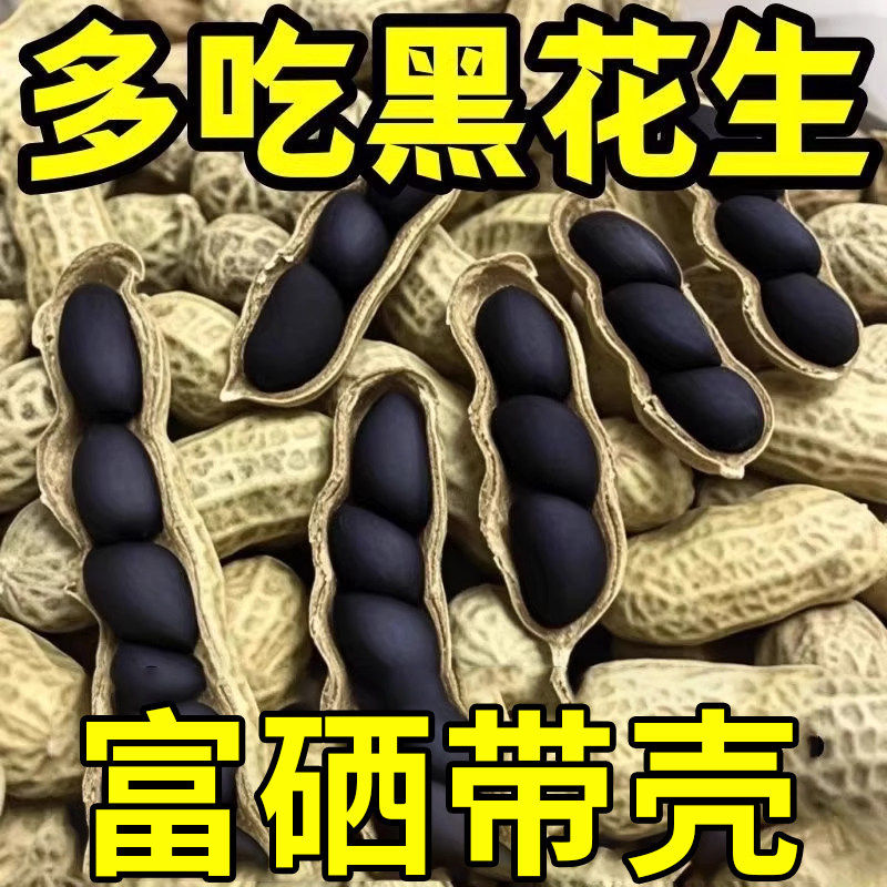 今年富硒黑花生新鲜带壳生的可生吃农家自产黑皮花生香脆可口