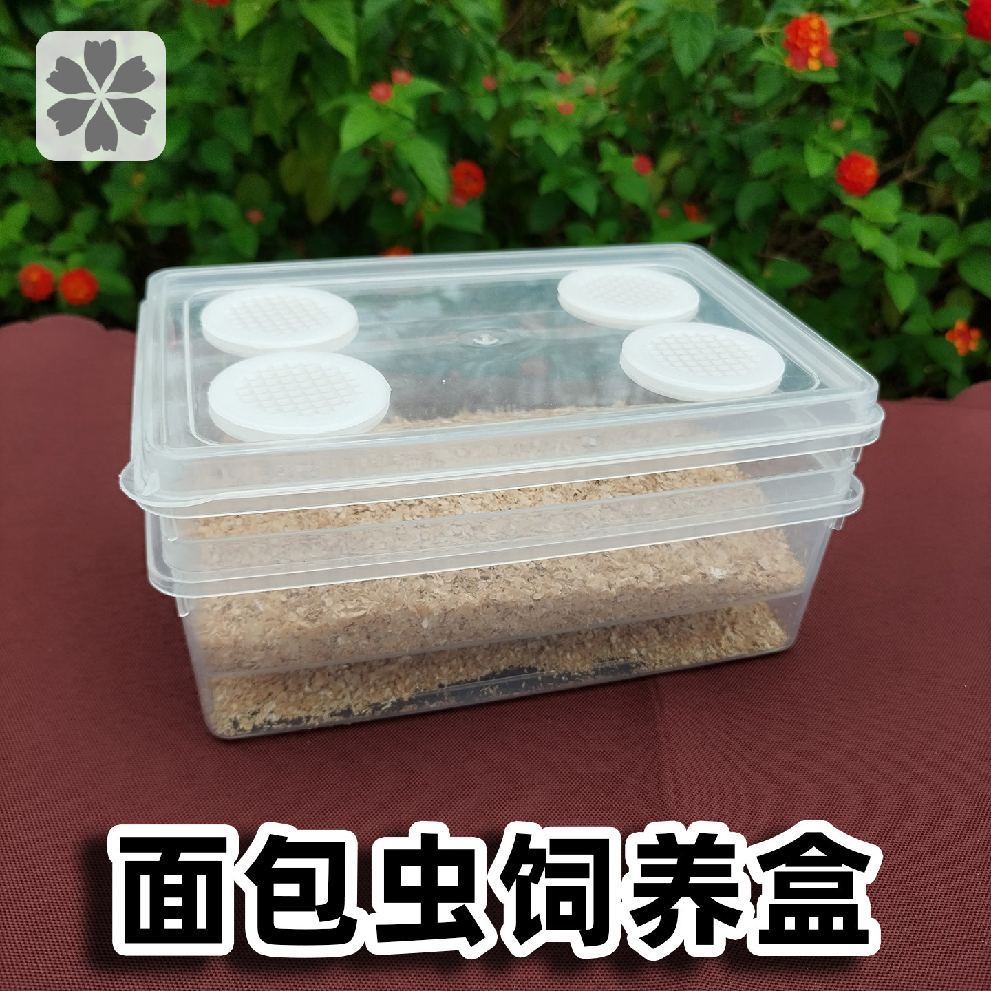 面包虫饲养箱滤屎防臭免打扫