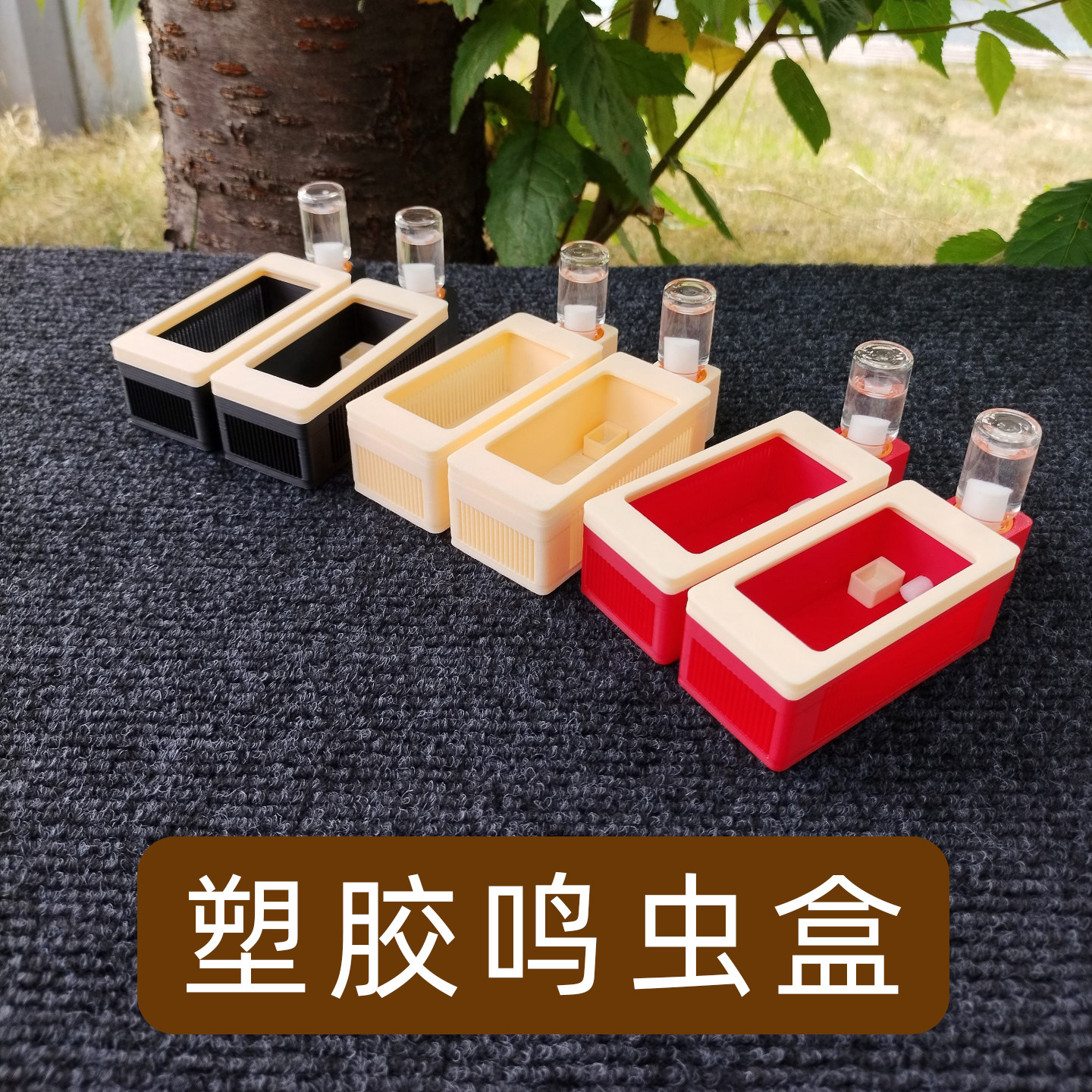 新款双格鸣虫盒塑料大小黄蛉盒竹蛉虫具蛉子蛉虫盒加湿器保湿