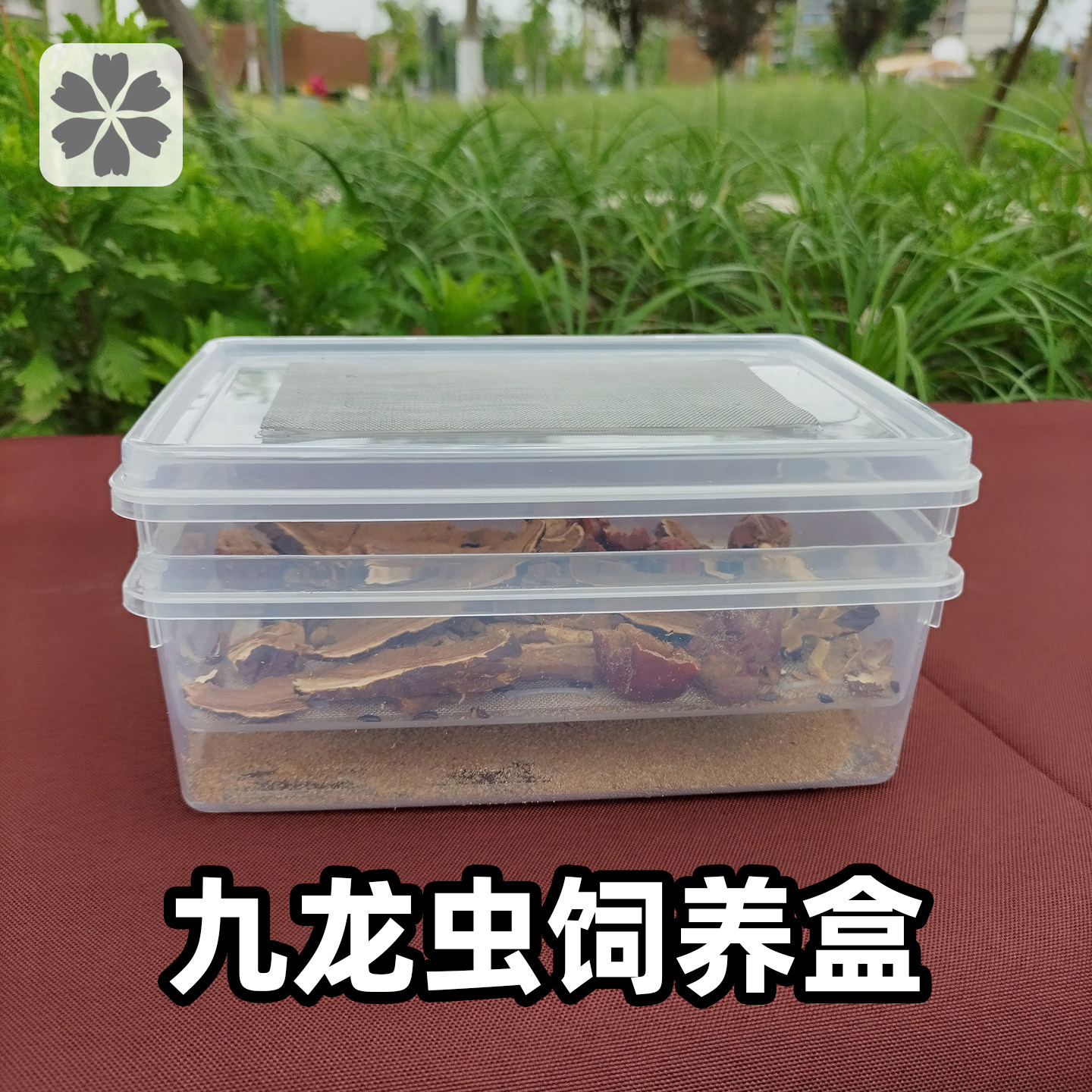 九龙虫饲养盒洋虫盒透明幼虫分离繁殖盒过滤粪便爬宠窝养殖箱