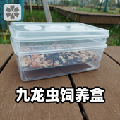 九龙虫饲养盒繁殖盒 幼虫 粪便分离器昆虫养殖盒洋虫养殖饲养箱