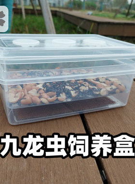 九龙虫饲养盒幼虫分离爬宠窝