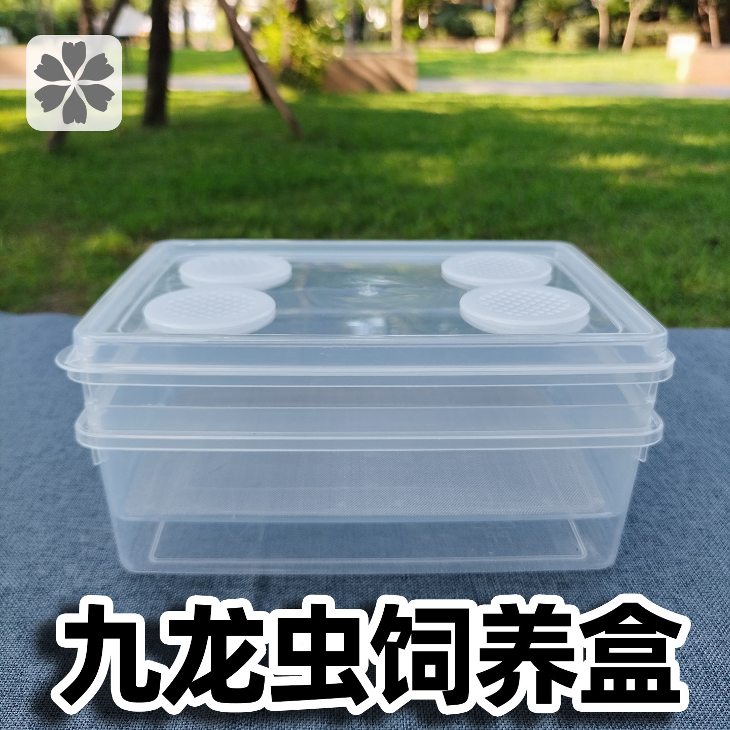 九龙虫滤屎饲养盒防臭防潮