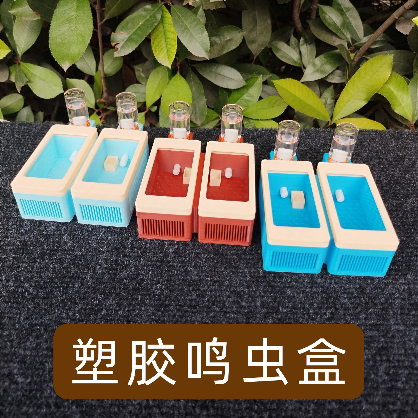双格鸣虫盒塑料饲养盒大黄蛉盒竹蛉虫具蛉子蛉虫盒加湿器保湿