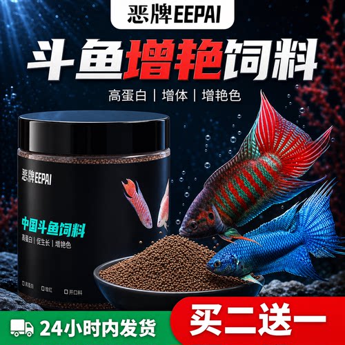 上浮小颗粒斗鱼专用高蛋白饲料