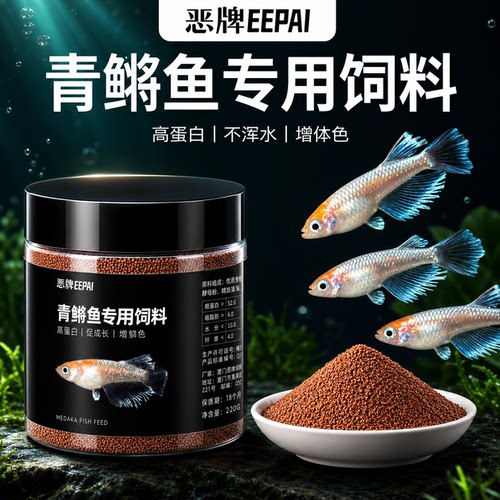 青鳉鱼专用饲料小颗粒不浑水