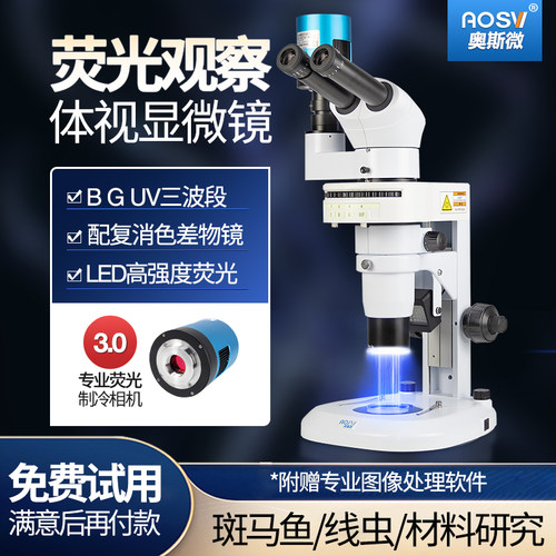 奥斯微荧光体视显微镜斑马鱼研究