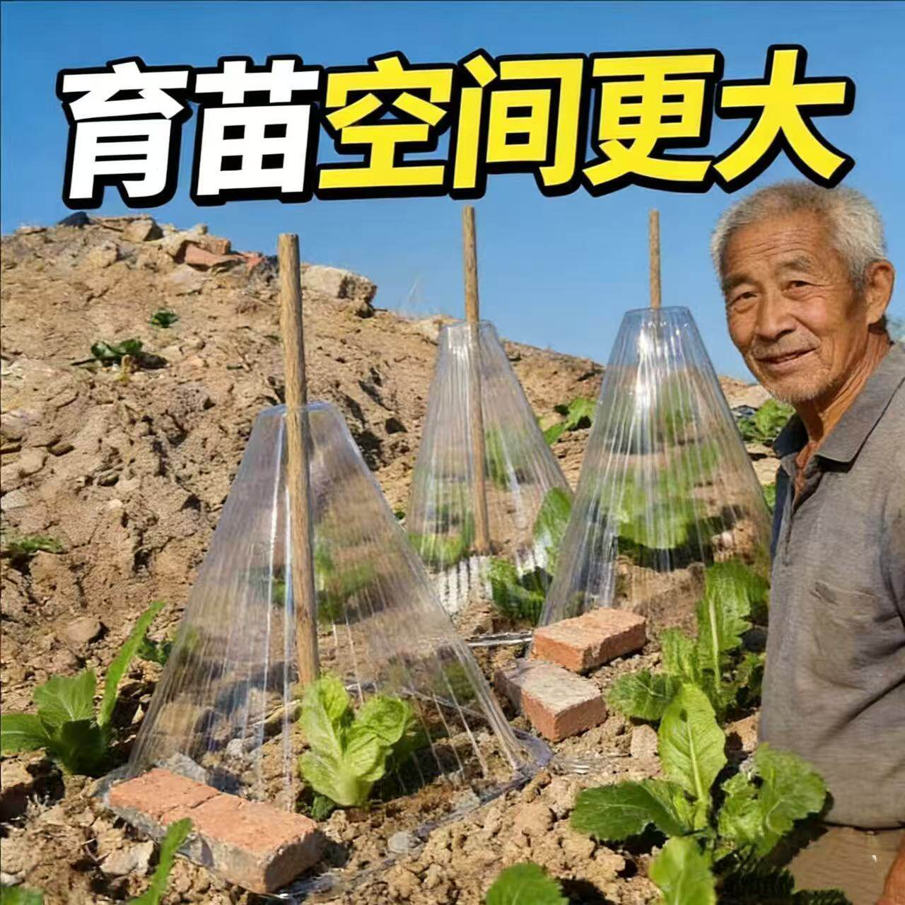 透明PP多孔育苗盘家用特惠装