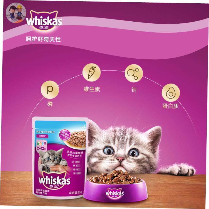 12x Whiskas Kitten Wonderful Fresh Package Fish Wet Cat Food