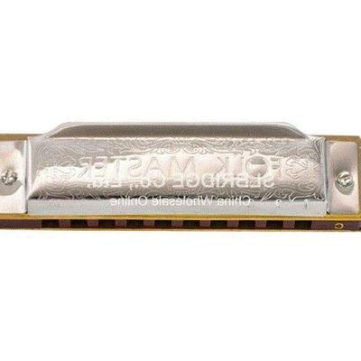 silver Suzuki 1072 Folk Master Harmonica 10 Ho Blues Key