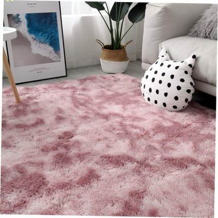 Carpet living room tea table bedroom bedside blanket mat地毯