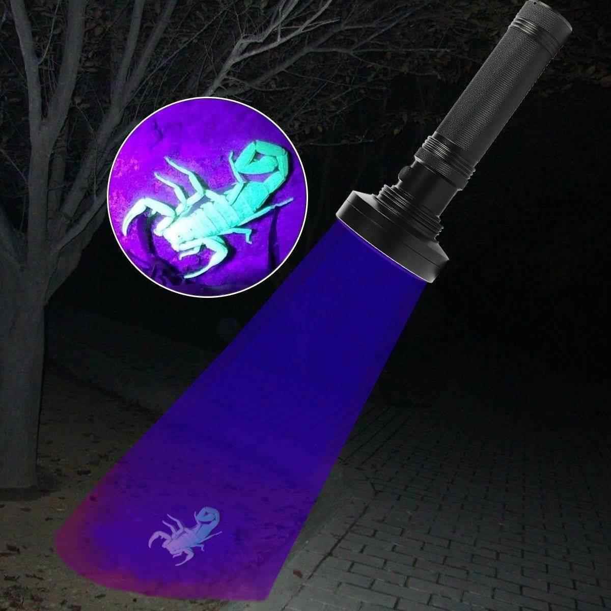 UV Flashlight Black light UV Lights 21 395nm torch LED Ultr