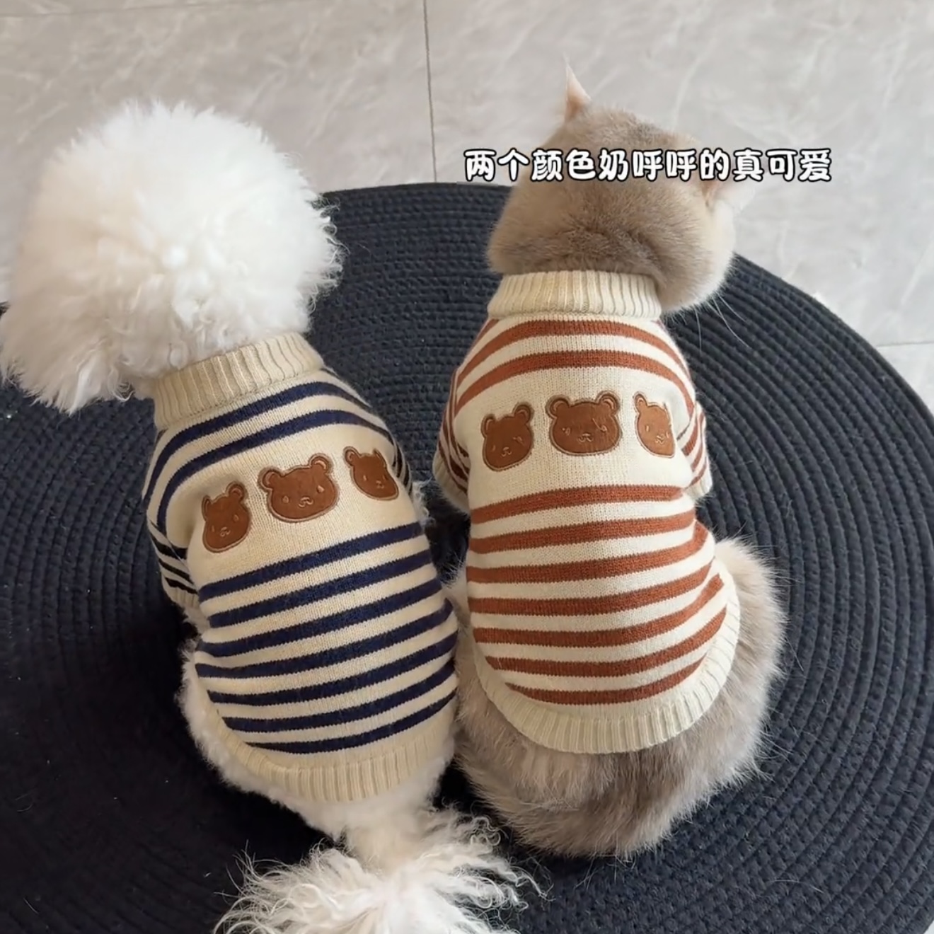 宠物猫咪狗狗衣服秋冬款毛衣金渐层布偶猫比熊泰迪冬天可爱秋冬装