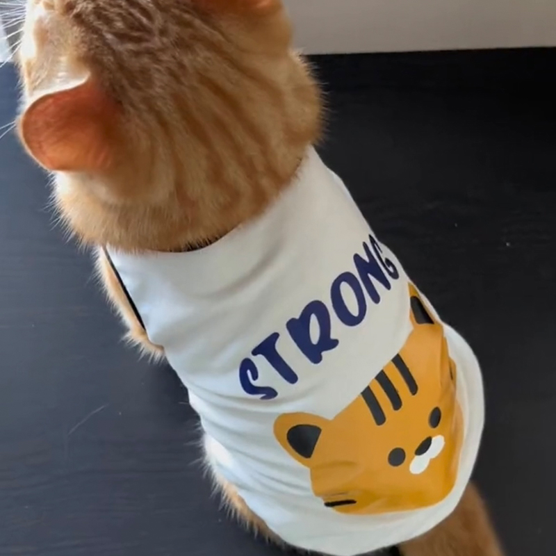 猫咪防掉毛衣服夏天透气英短布偶猫银渐层蓝猫宠物夏季薄款小背心