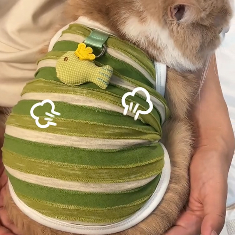 猫咪夏天防掉毛衣服韩版可爱ins风英短布偶猫矮脚猫夏季薄款背心